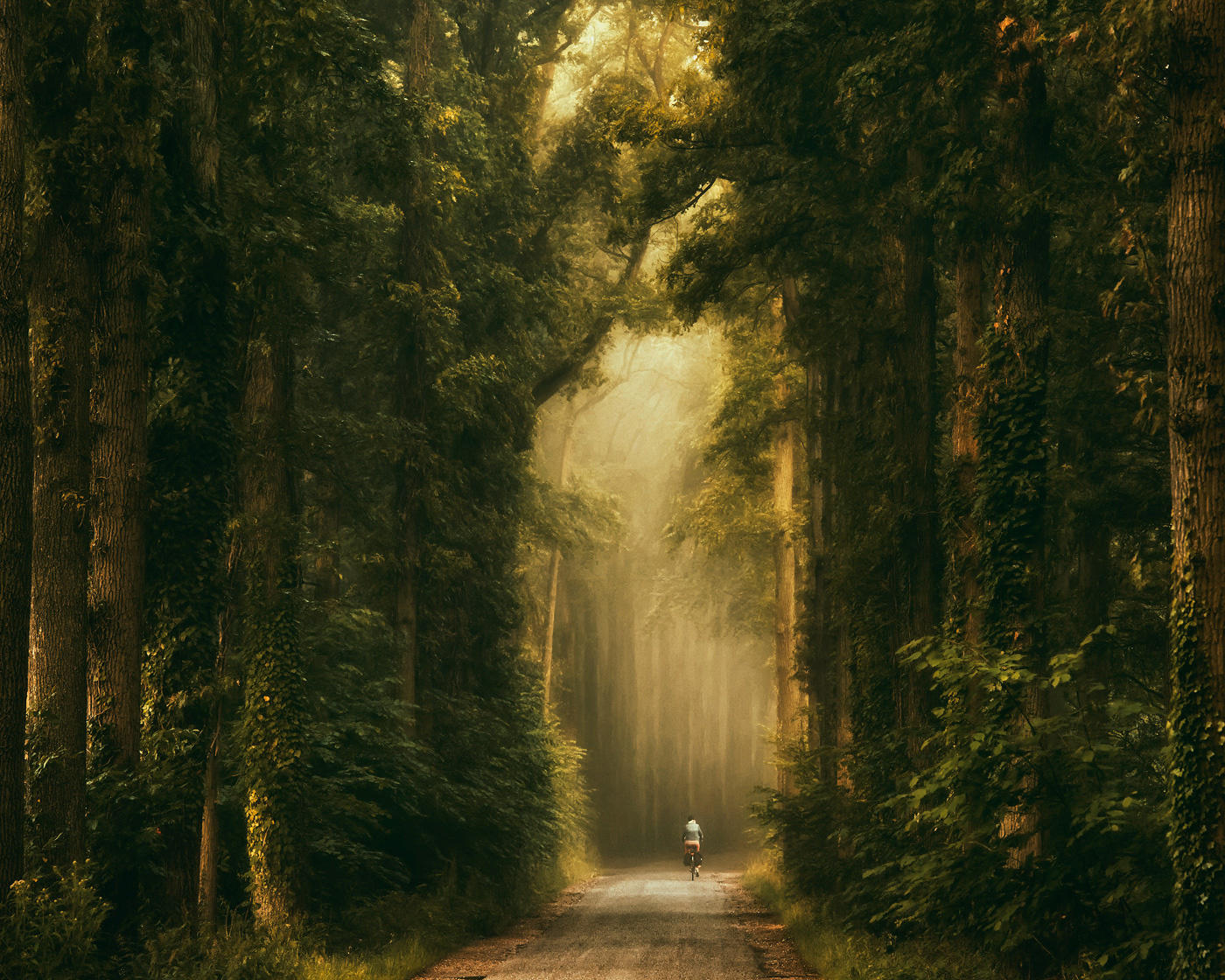 La Cathedrale Naturelle III