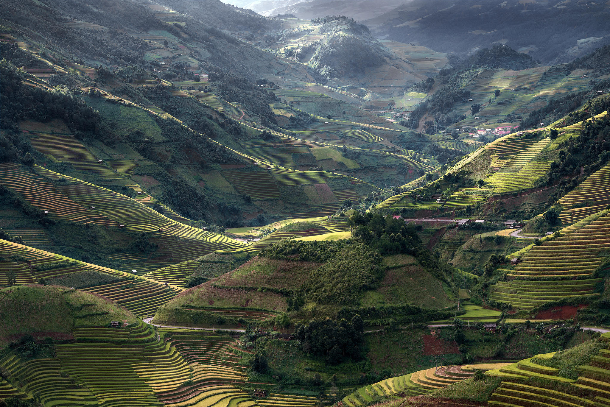 Top view (Mu cang chai)