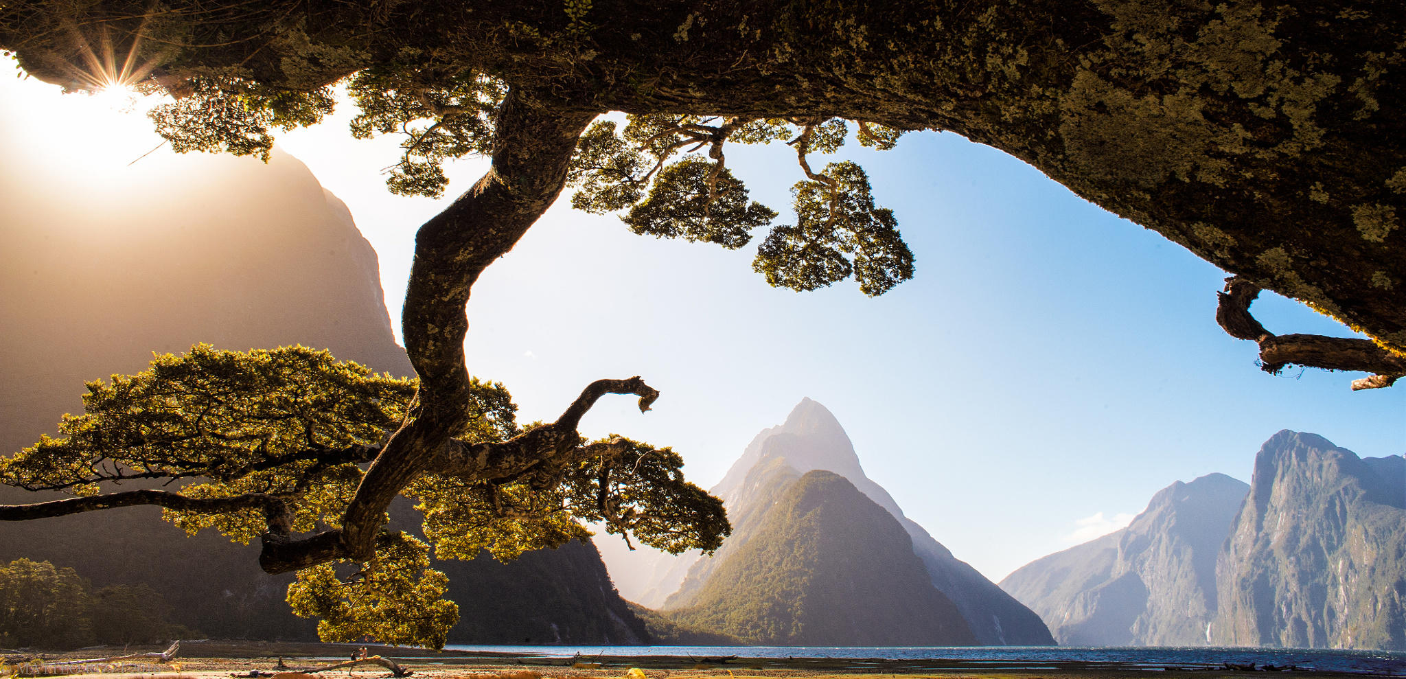 Milford Sound, NZ