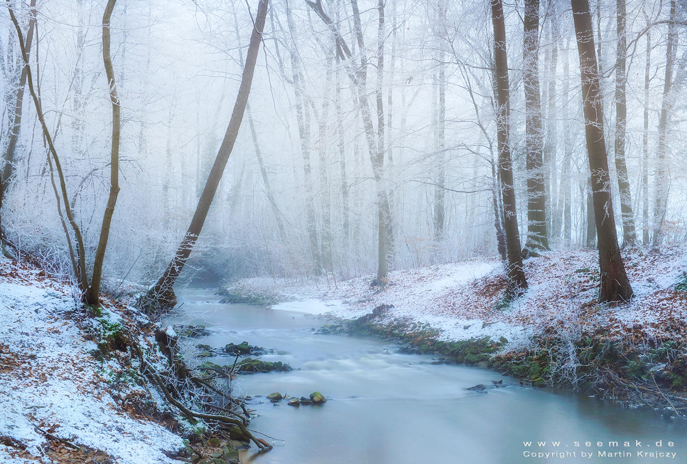 Frozen landscape