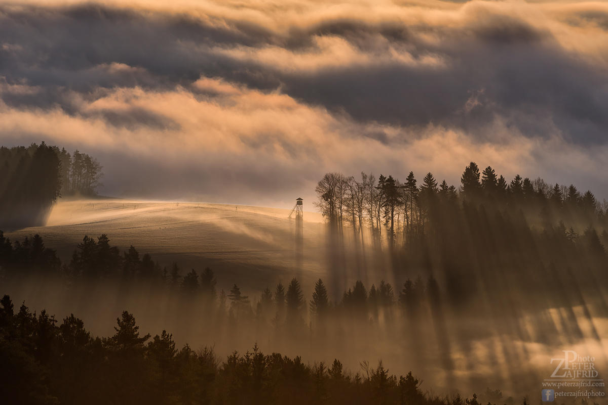 Misty morning