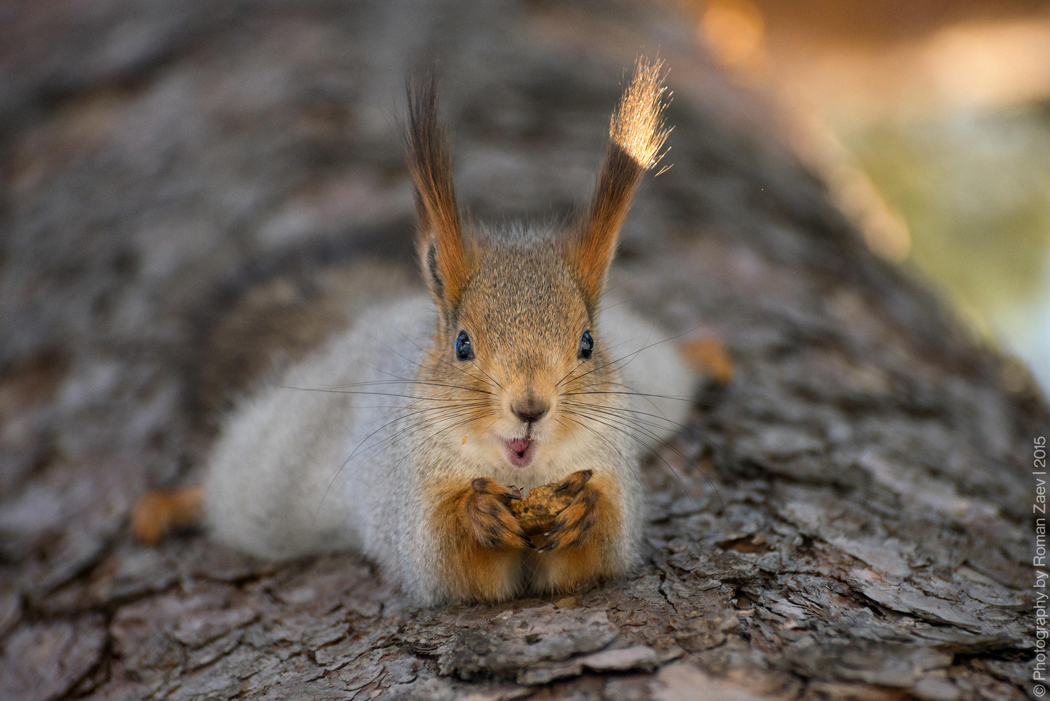 At lunchtime