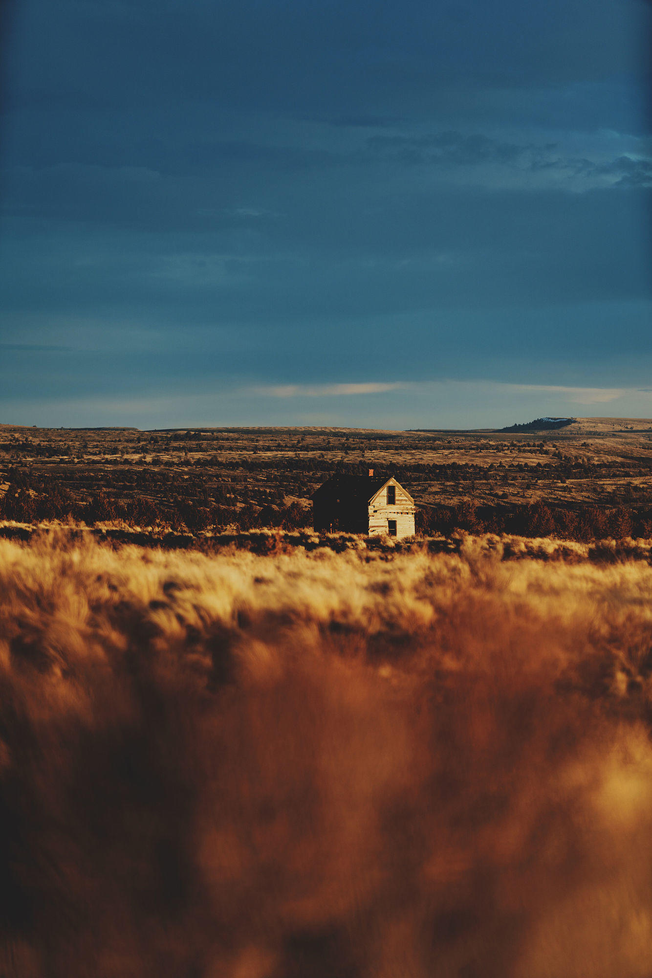 Little house on the Prairie