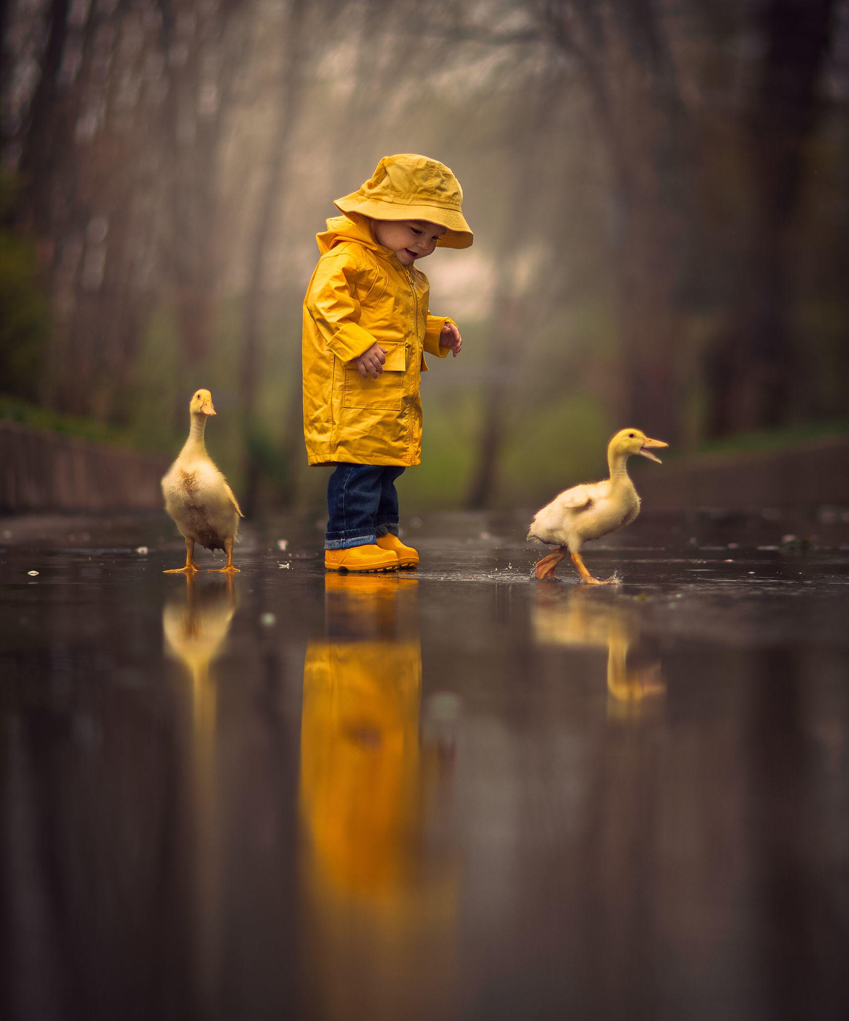 Rainy Day Friends