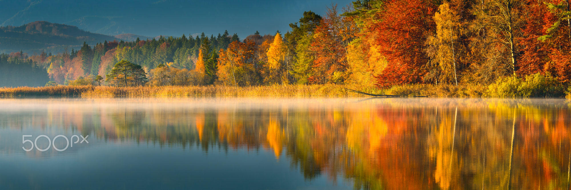 Autumn reflection