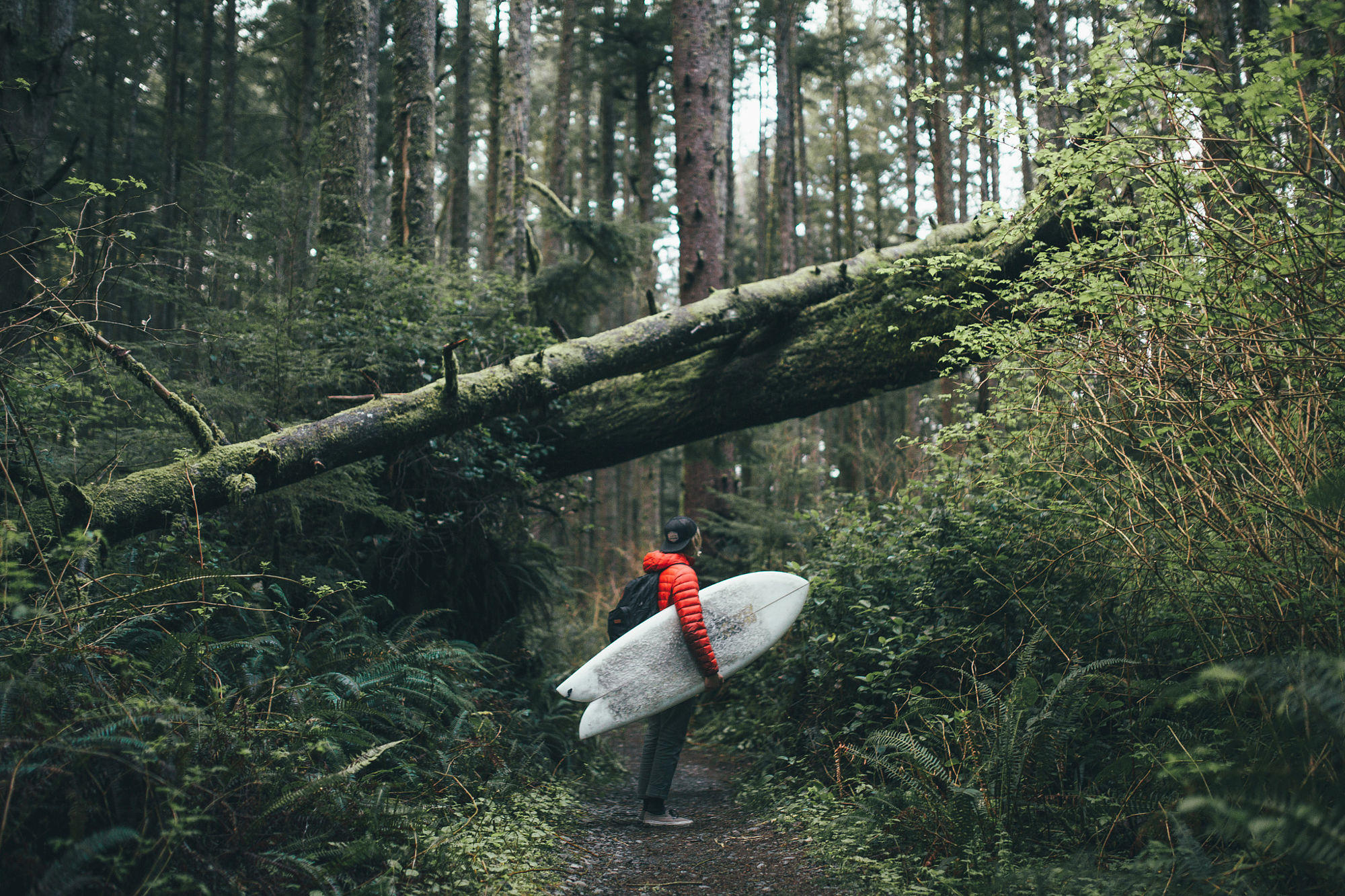 Surfing In Olympic National Park