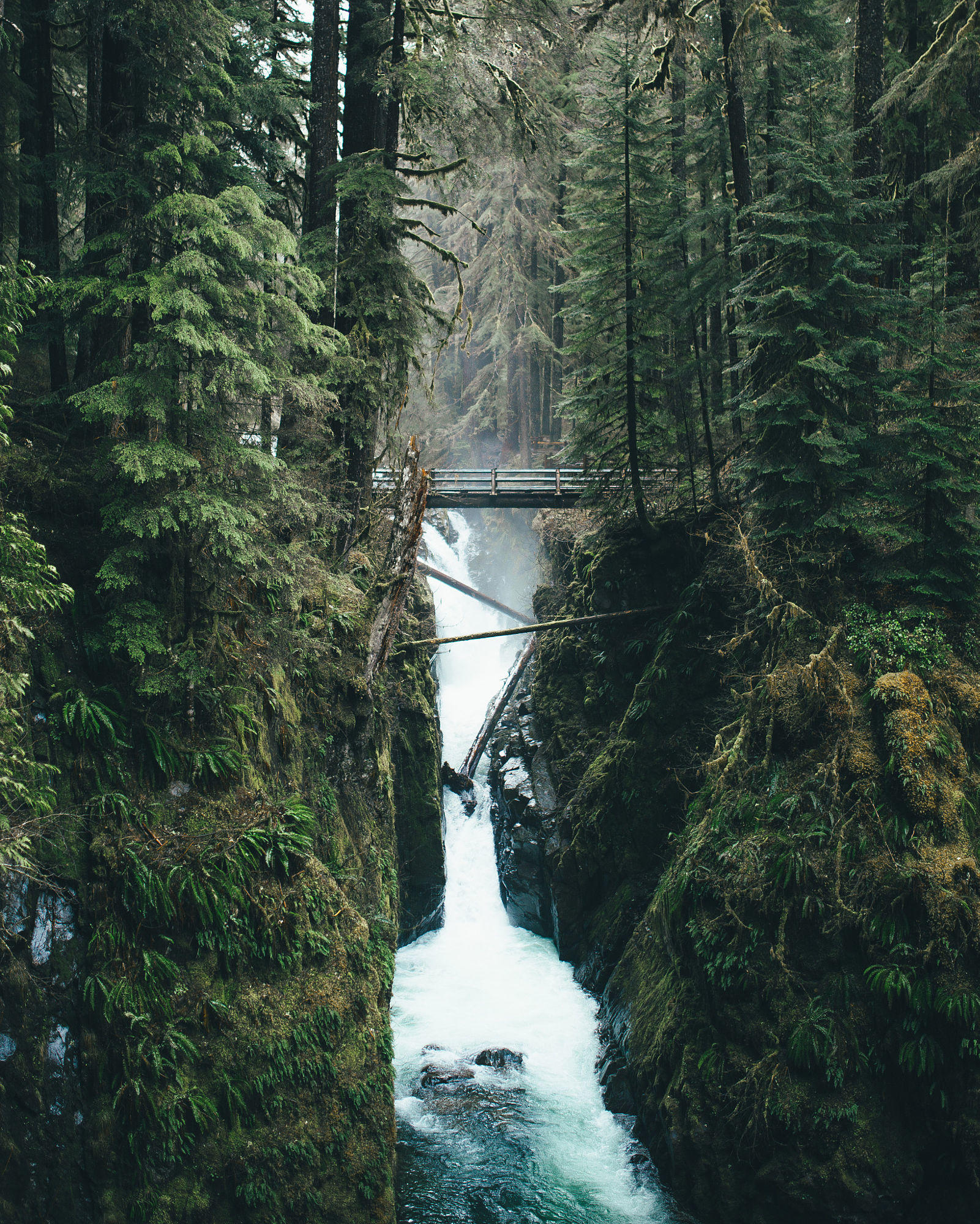 Sol Duc Falls, Olympic National Park