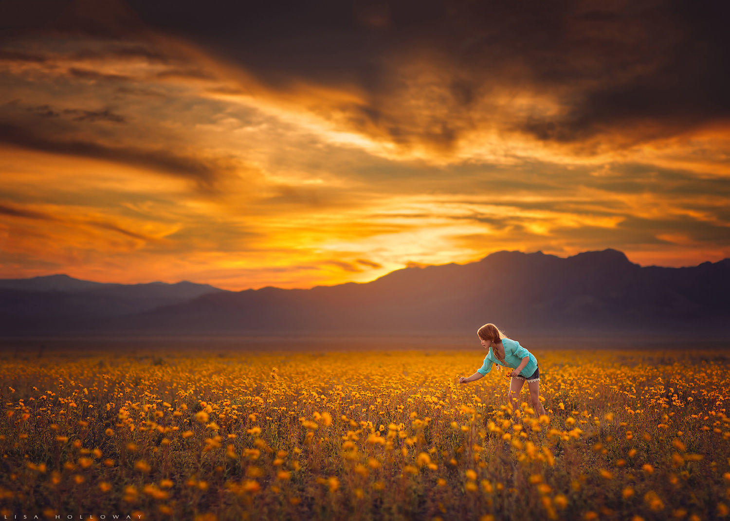 Field of Dreams