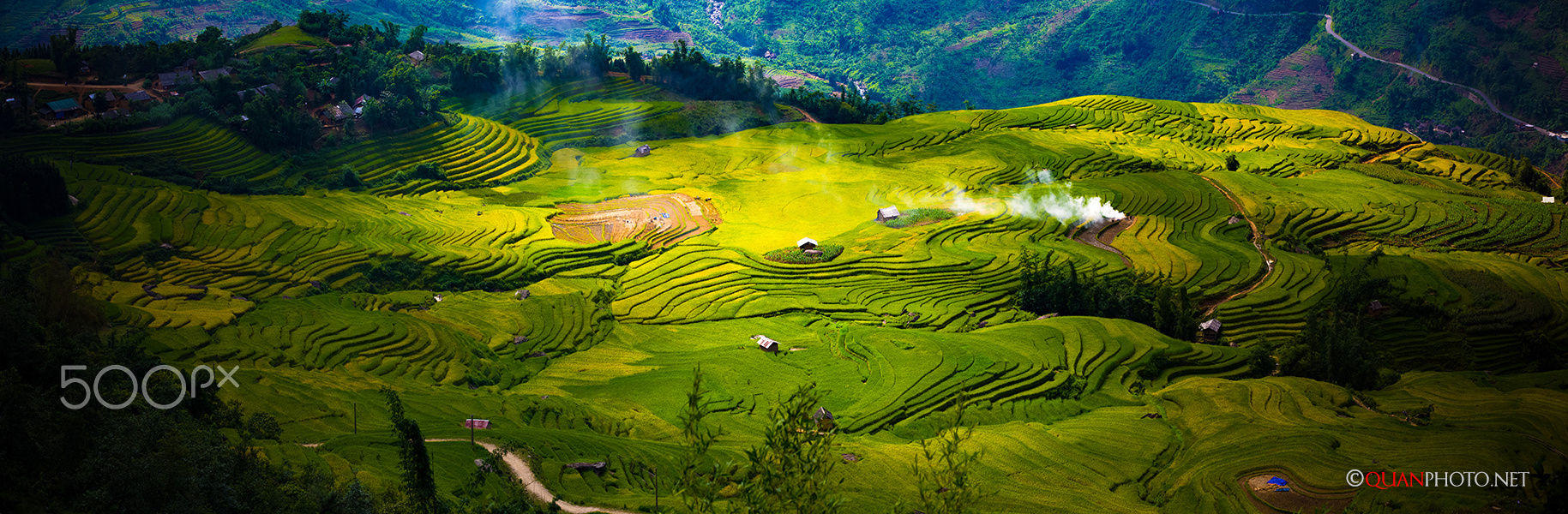 Golden Rice Terraces (Vietnam)