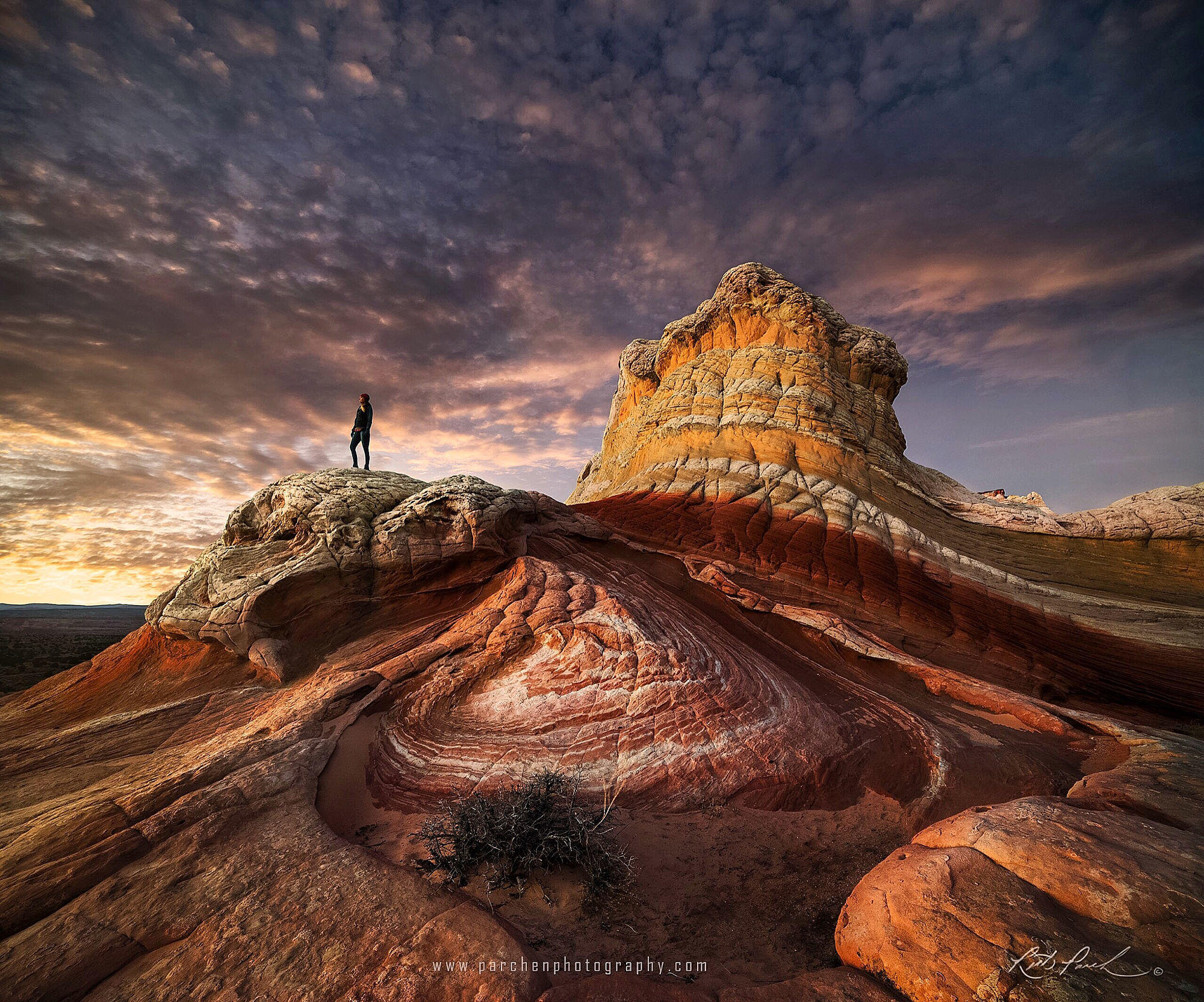 Candyland; Arizona