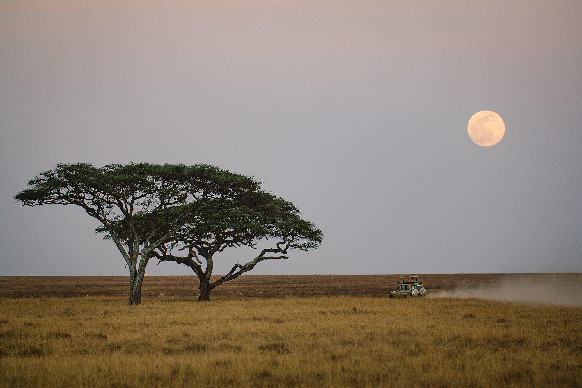 Serengeti Moonrise