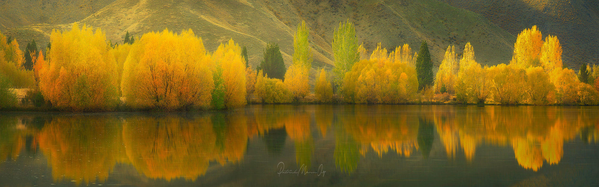 Autumn Display, Canterbury, New Zealand