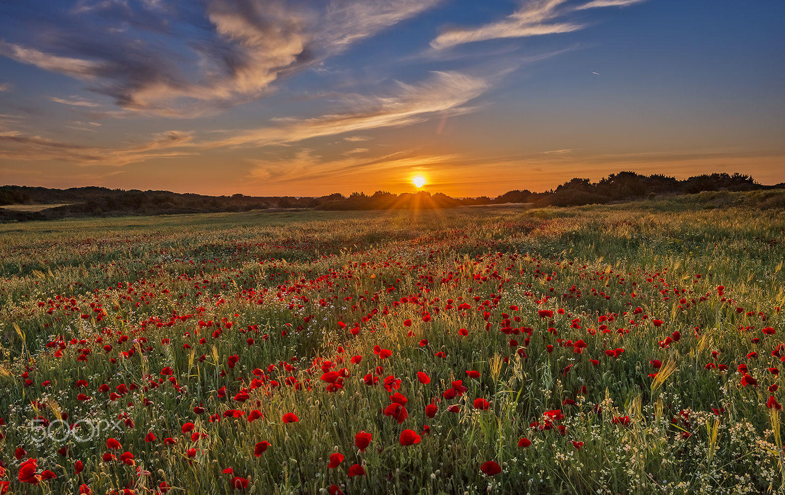 Spring sunset