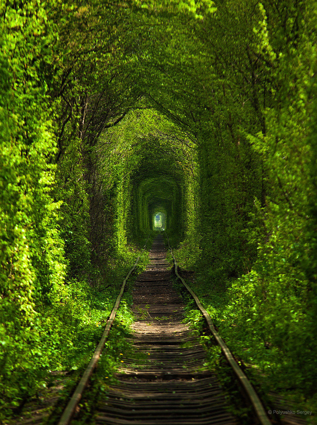 Tunnel of love