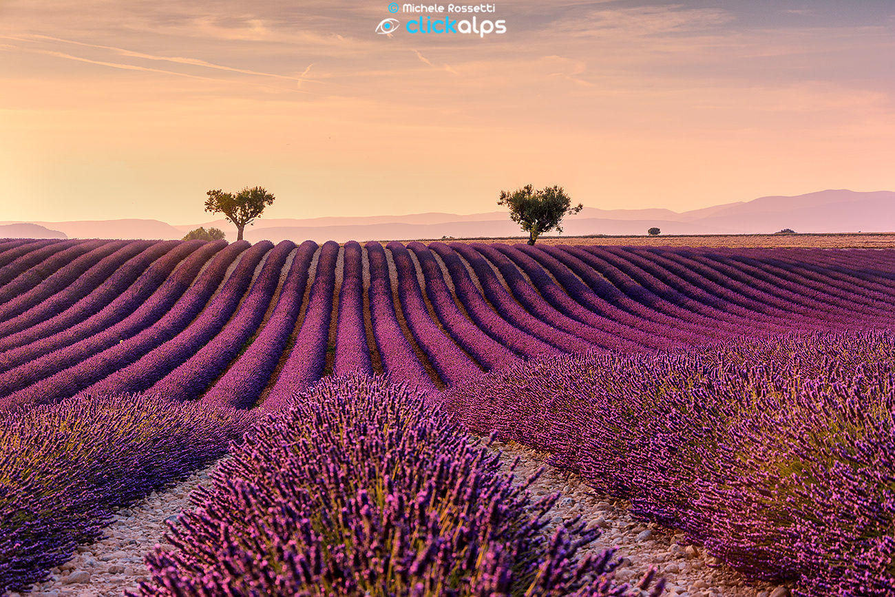 Provence