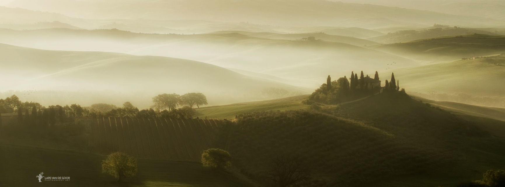 Tuscan D'Light