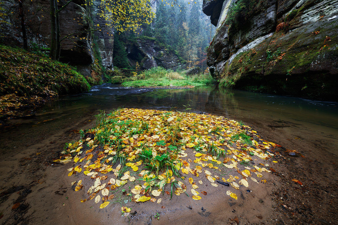 In the Gorge