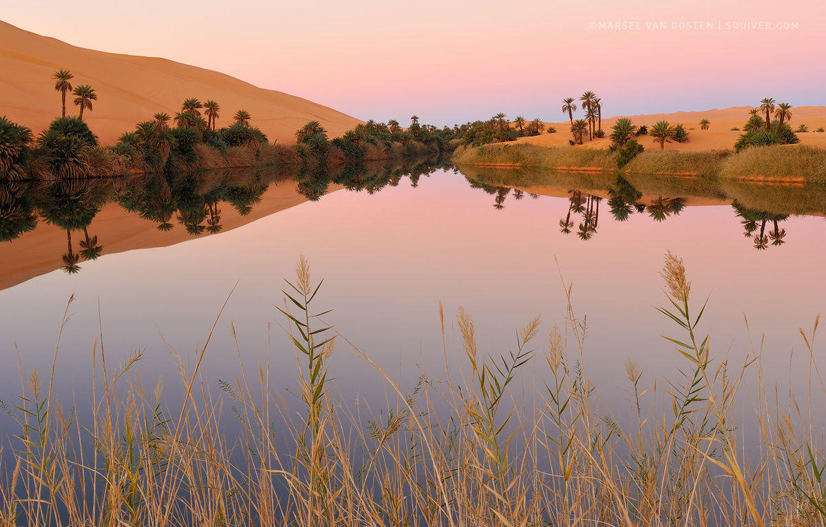 Libyan Oasis