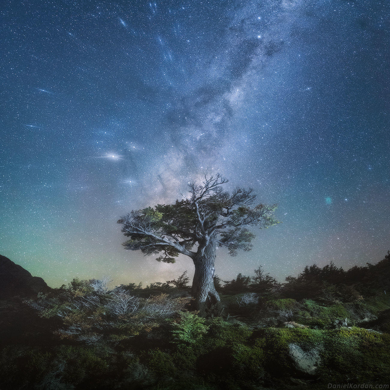 Patagonia magic