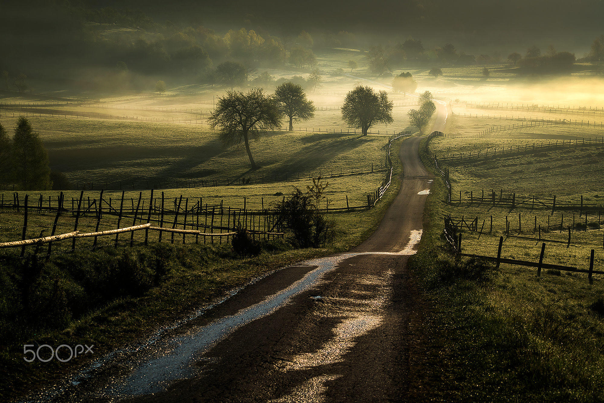 Country roads. Кантри роад. Ночная Проселочная дорога. Дорога вдаль. Ночная дорога в поле.