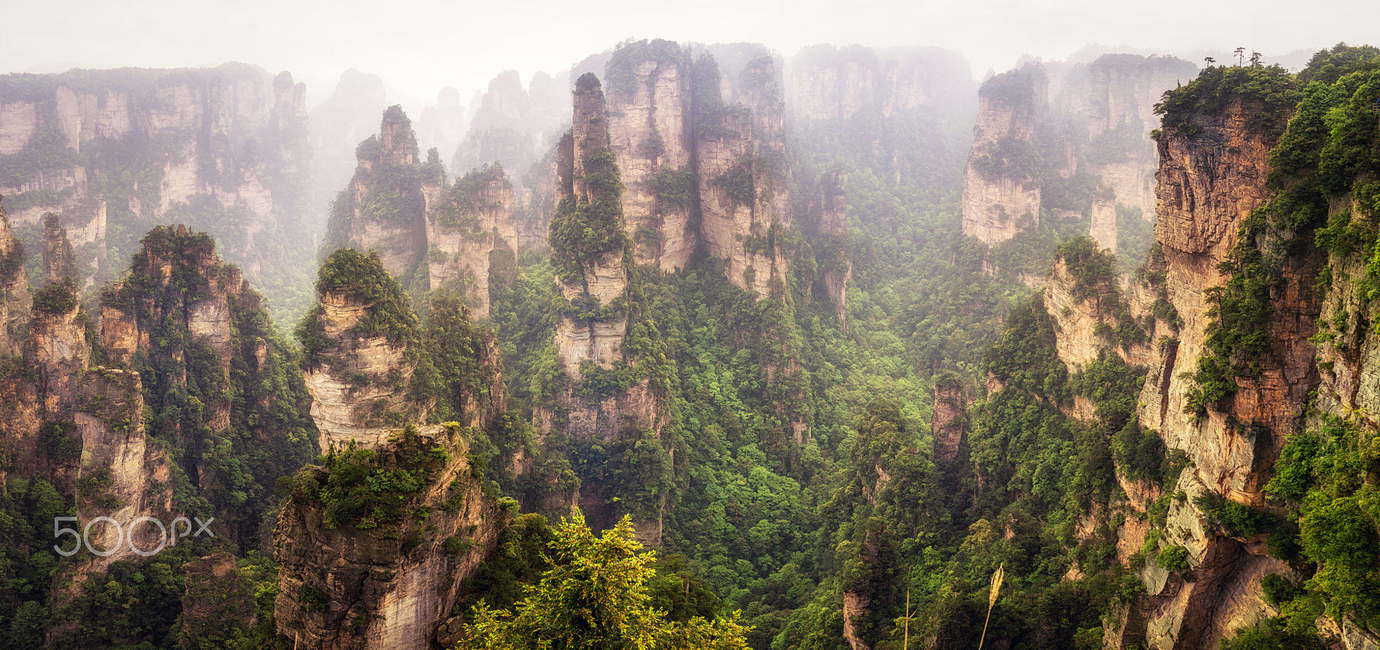 Zhangjiajie Pandora