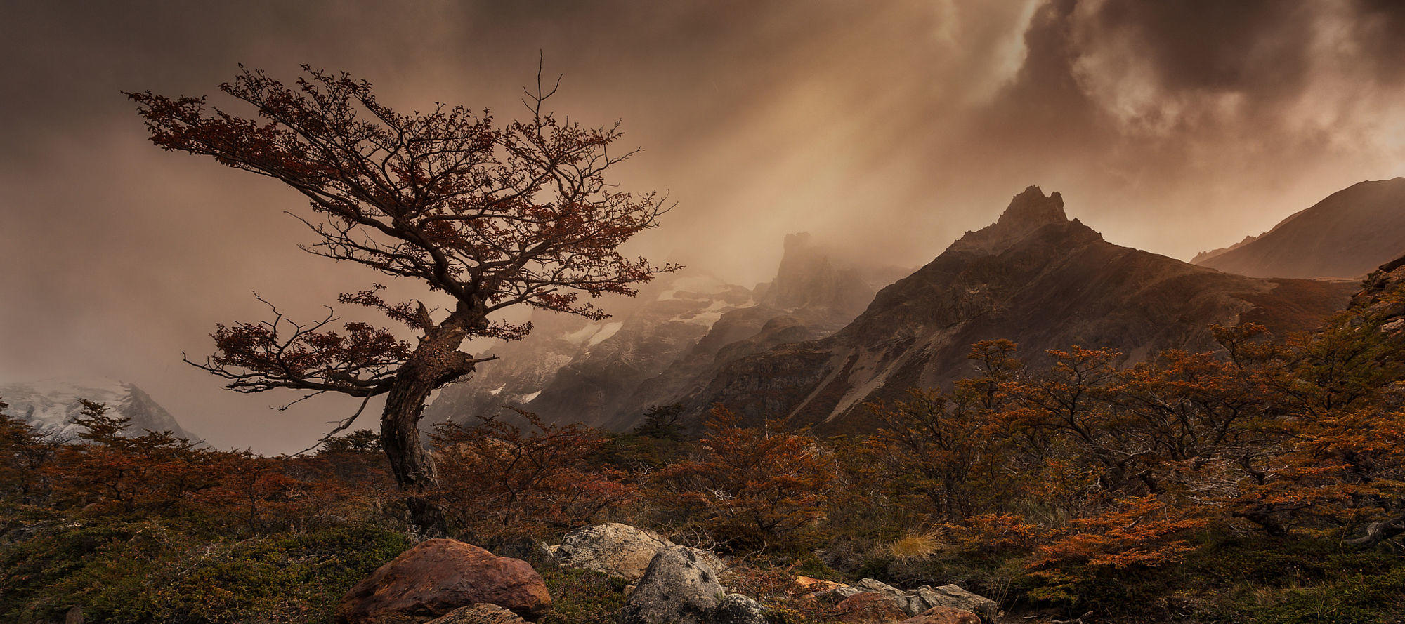 Patagonian Light