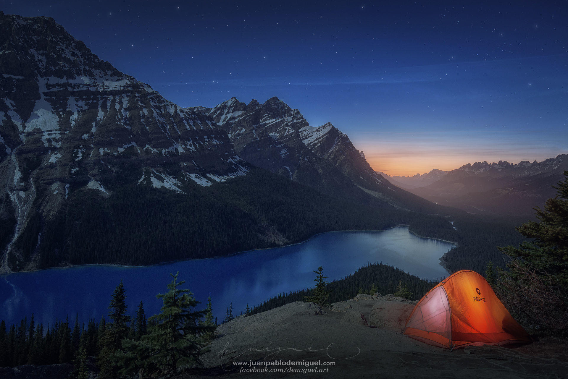 Peyto night