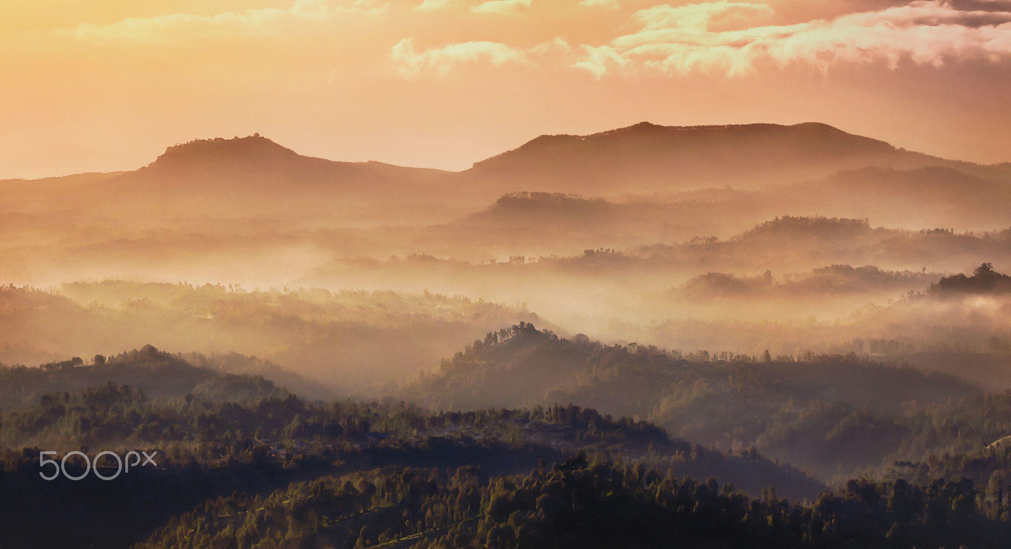 morning fog