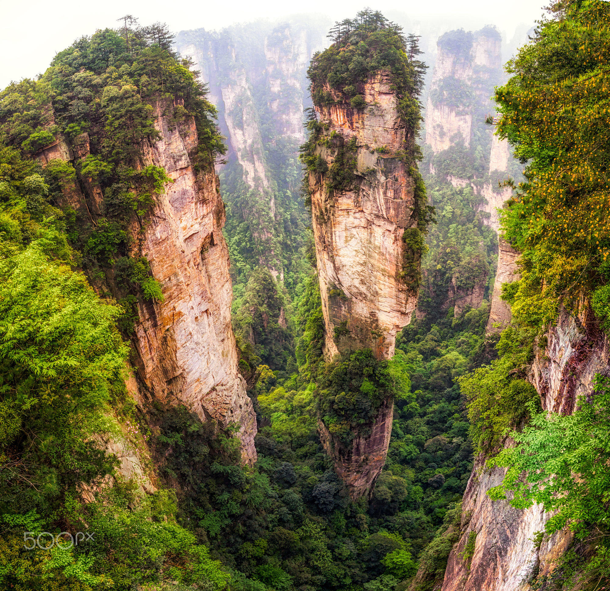 into the peaks of zhangjiajie