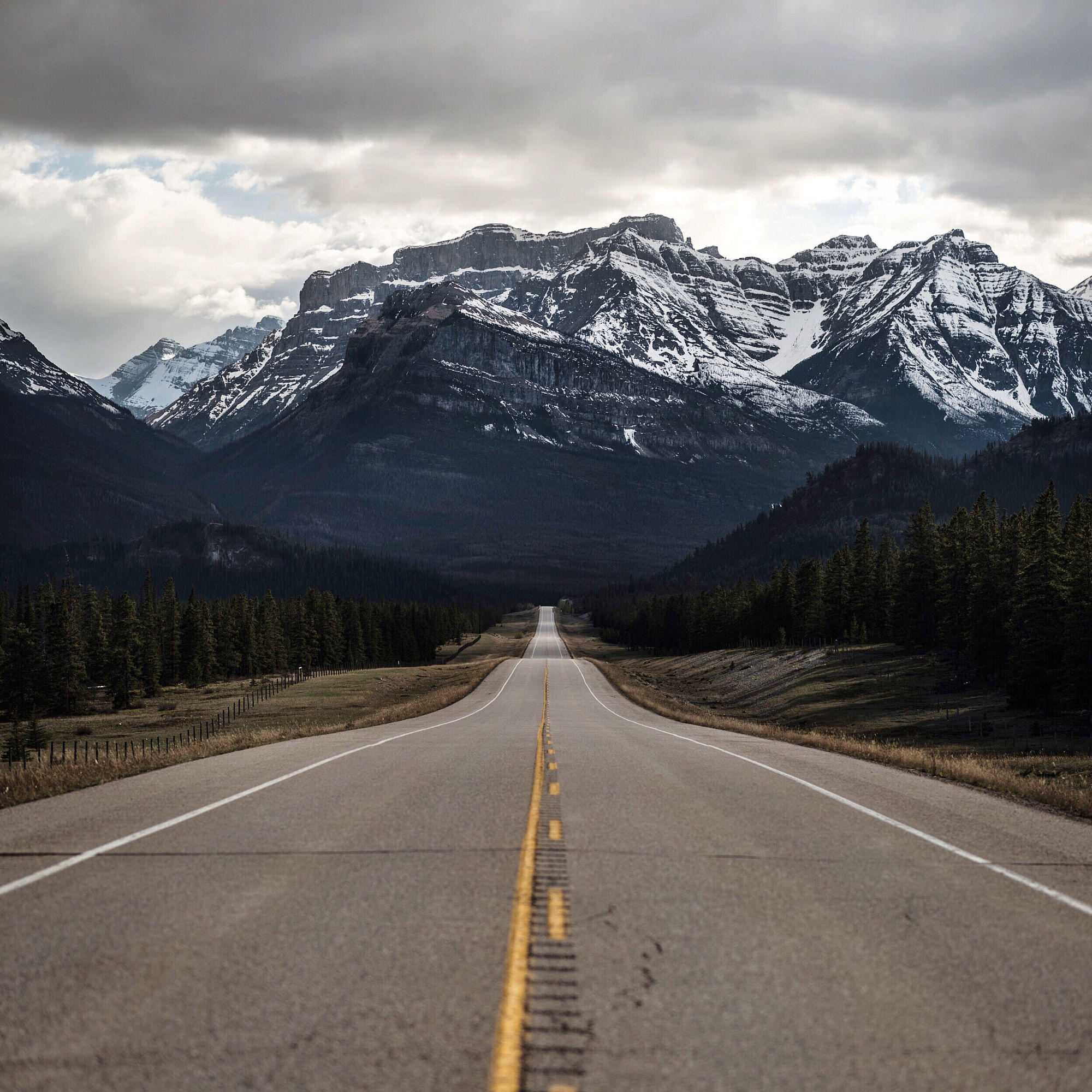 nordegg road. alberta.