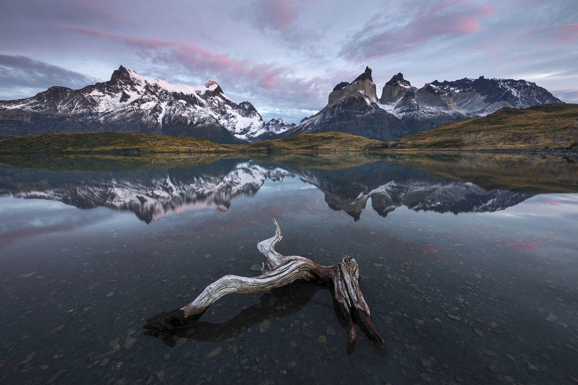 Driftwood Sunrise