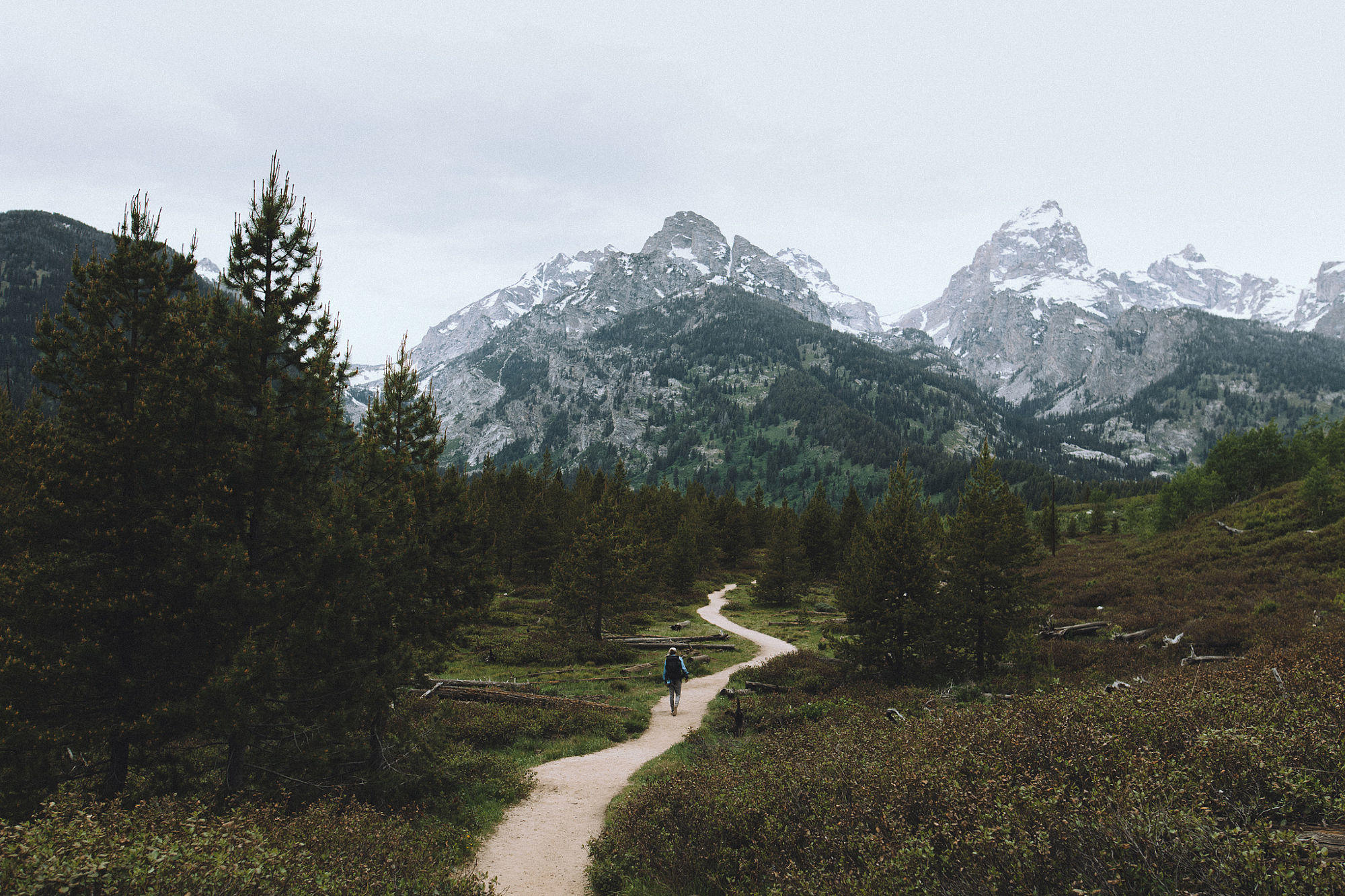 On the trail to Taggart Lake in GTNP