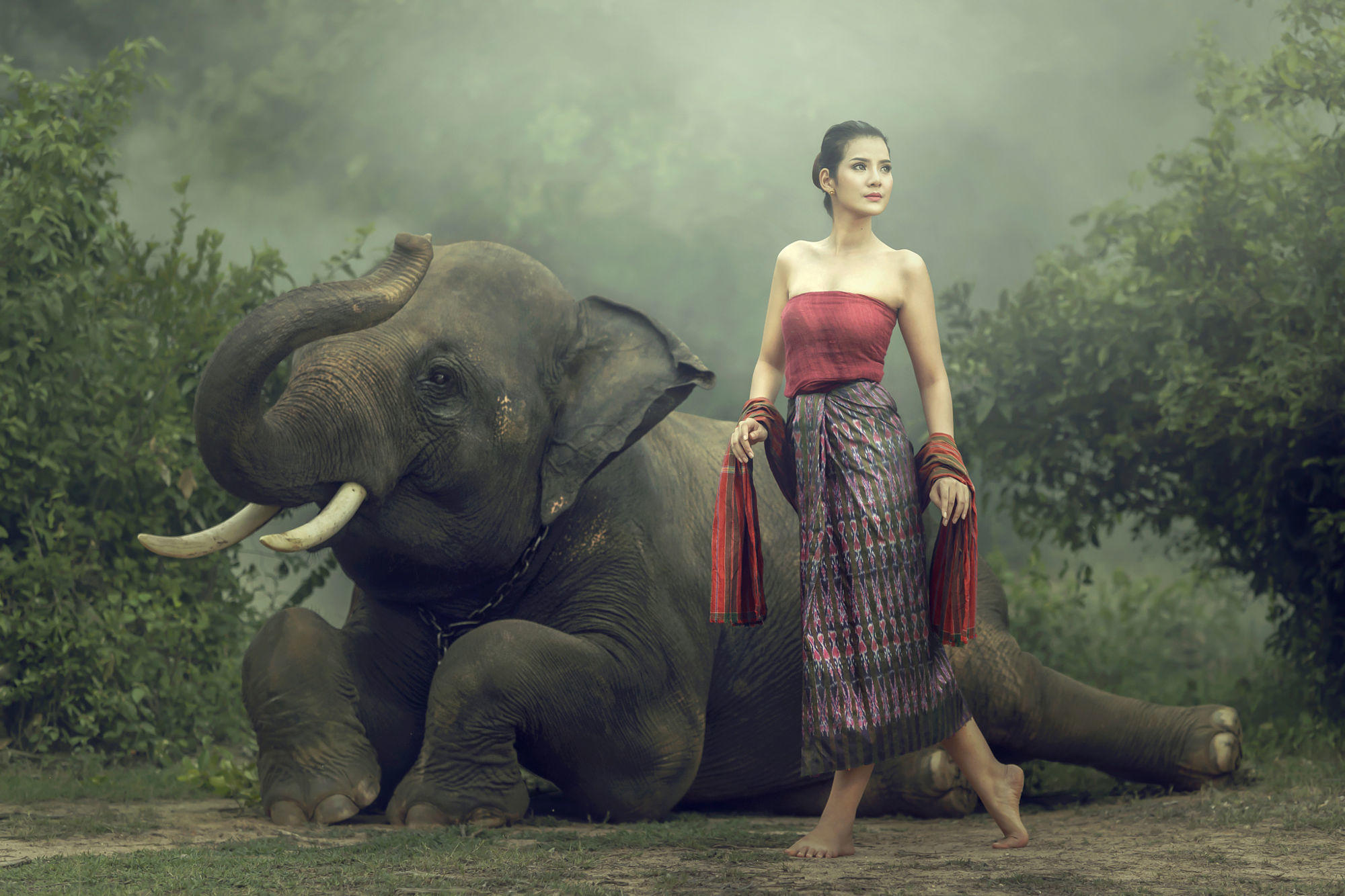 Elephant with asian girl