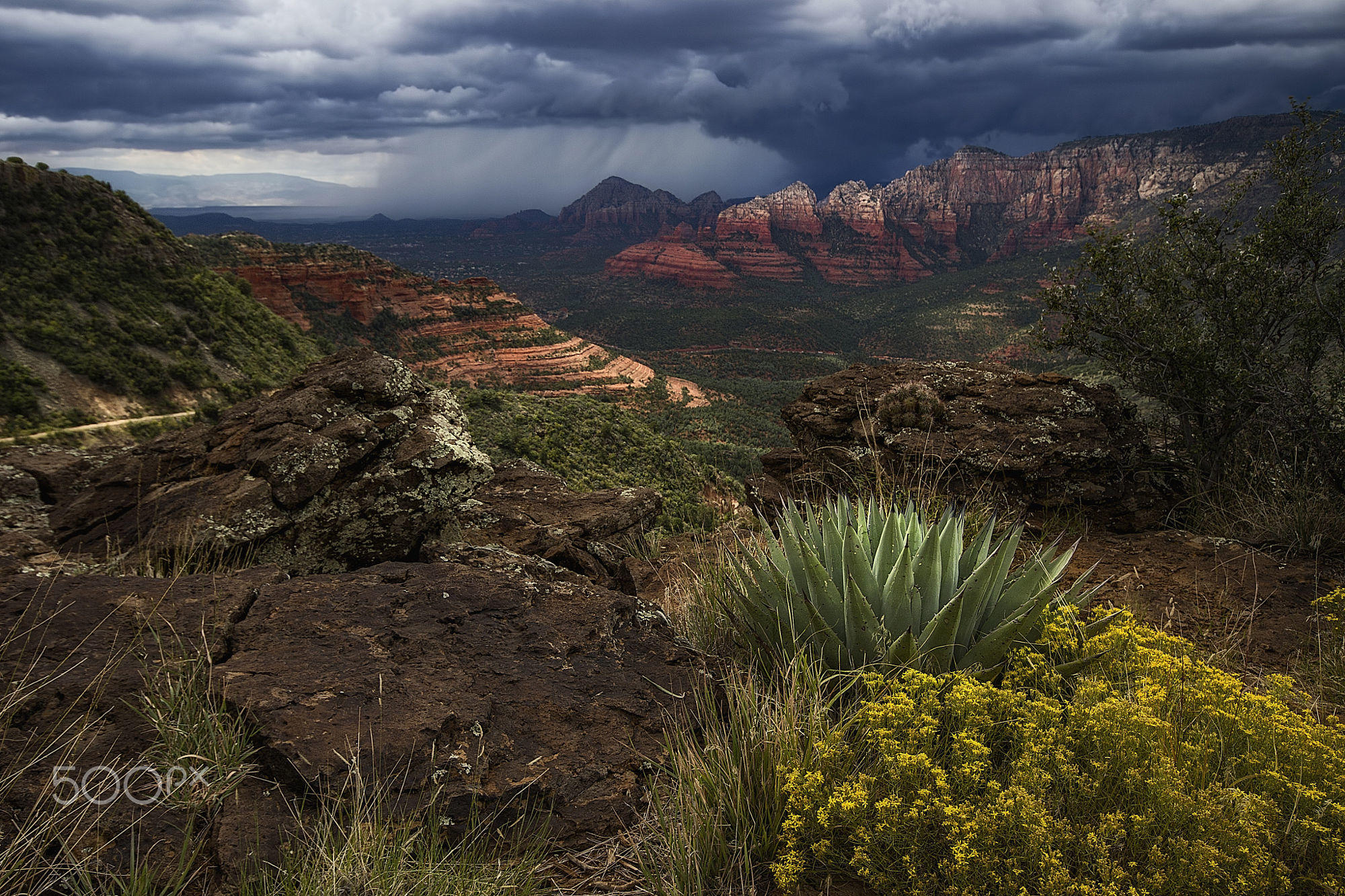 MonSoon