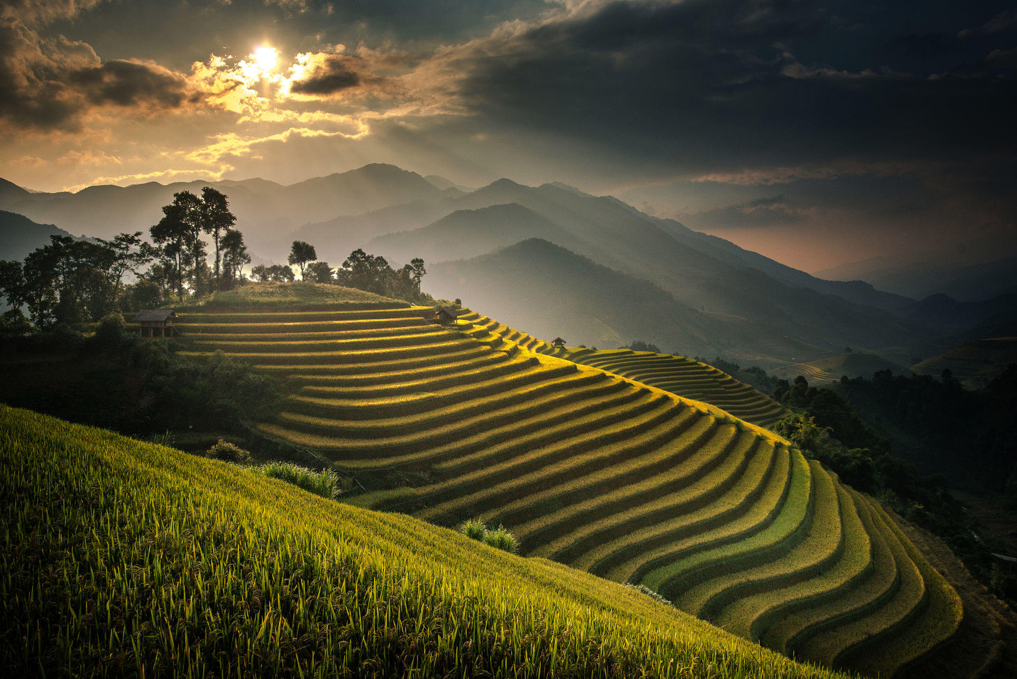 Beautiful terraced rice field in harvest season