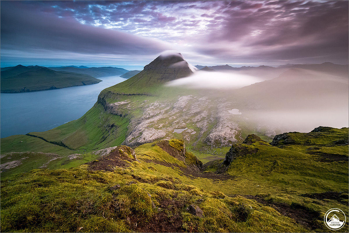 Foggy Night