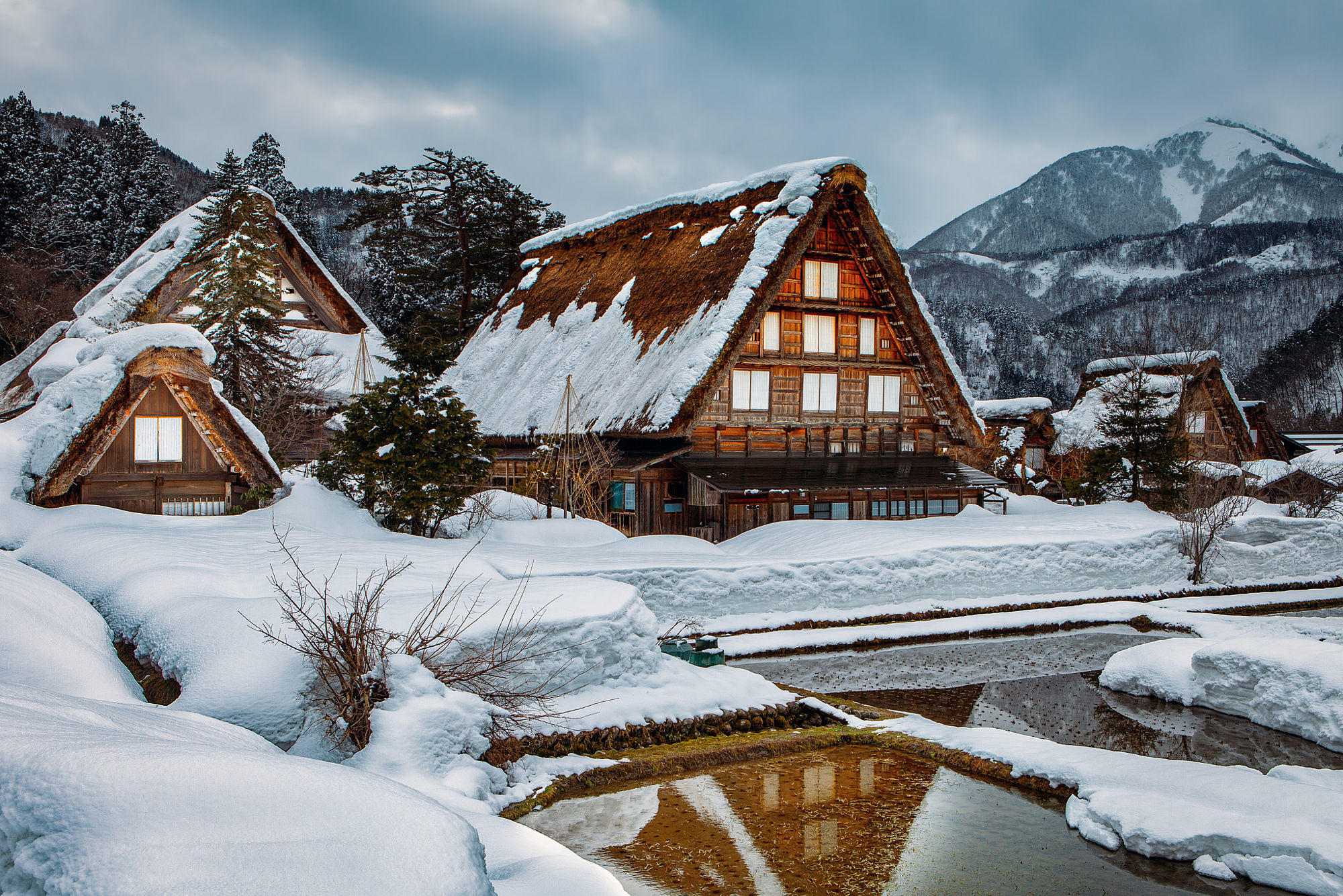 Snowy Cabins