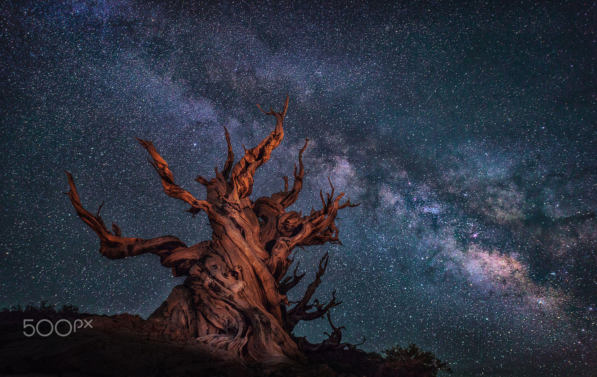 Milky Way at White Mountain