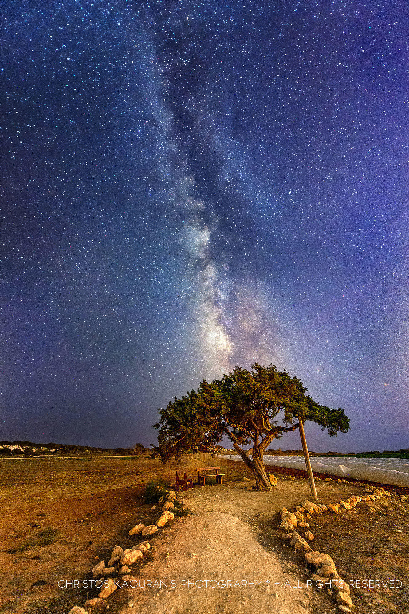 Milky way on top of the love tree at Cape Greco