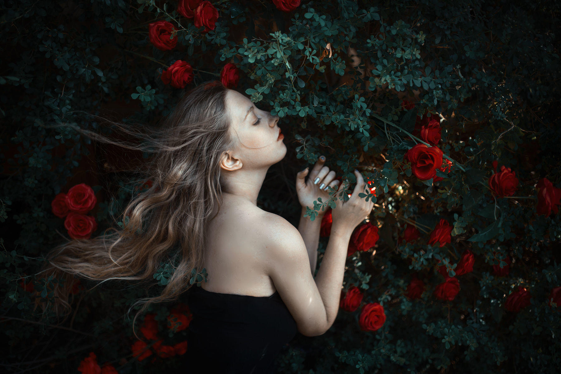 Among the roses