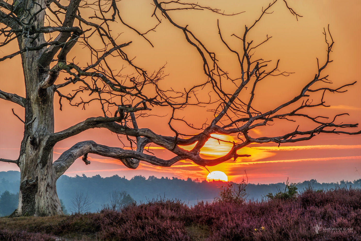 De Zonnegroet