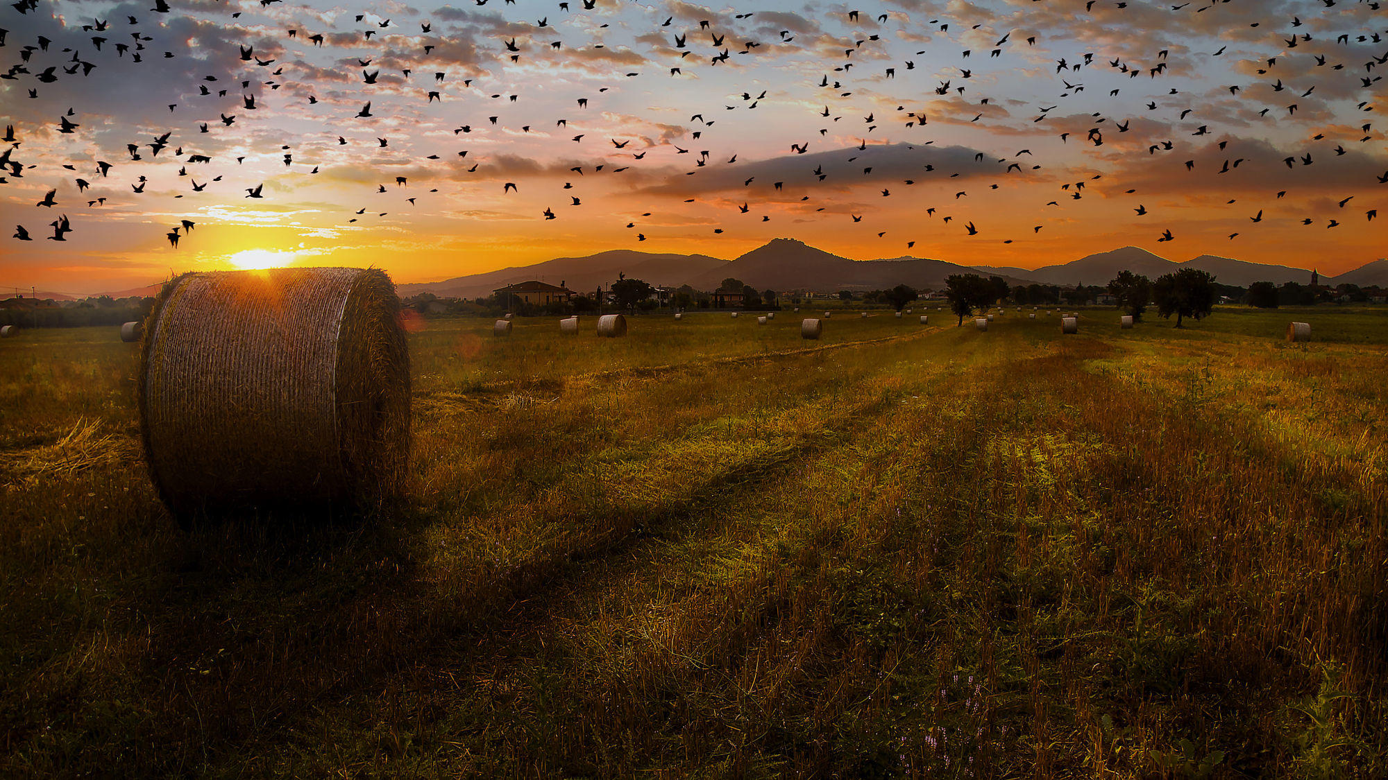 Sunrise in countryside