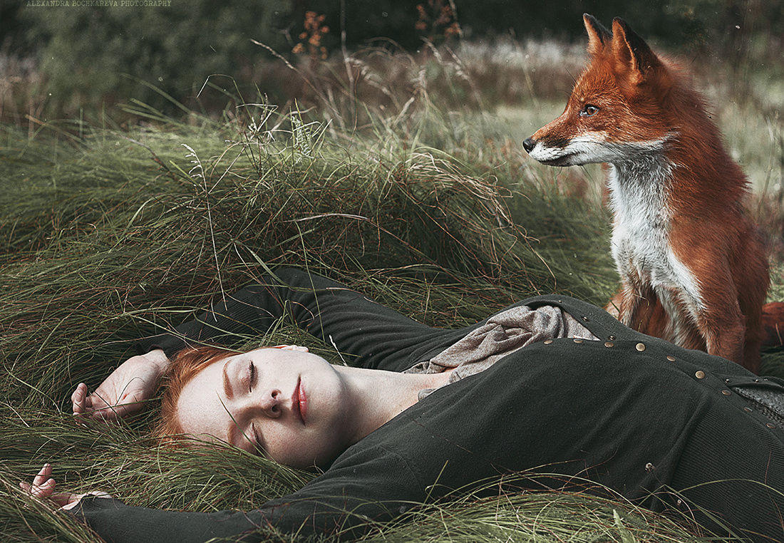 Girl & Fox