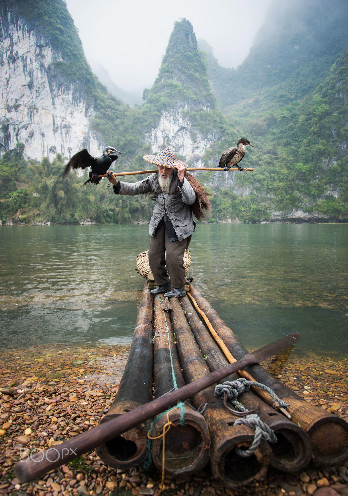 Cormorant Fisherman by the Li River II