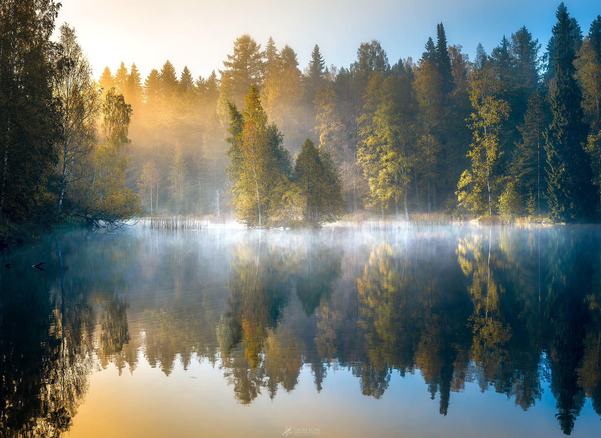 Forest Pond