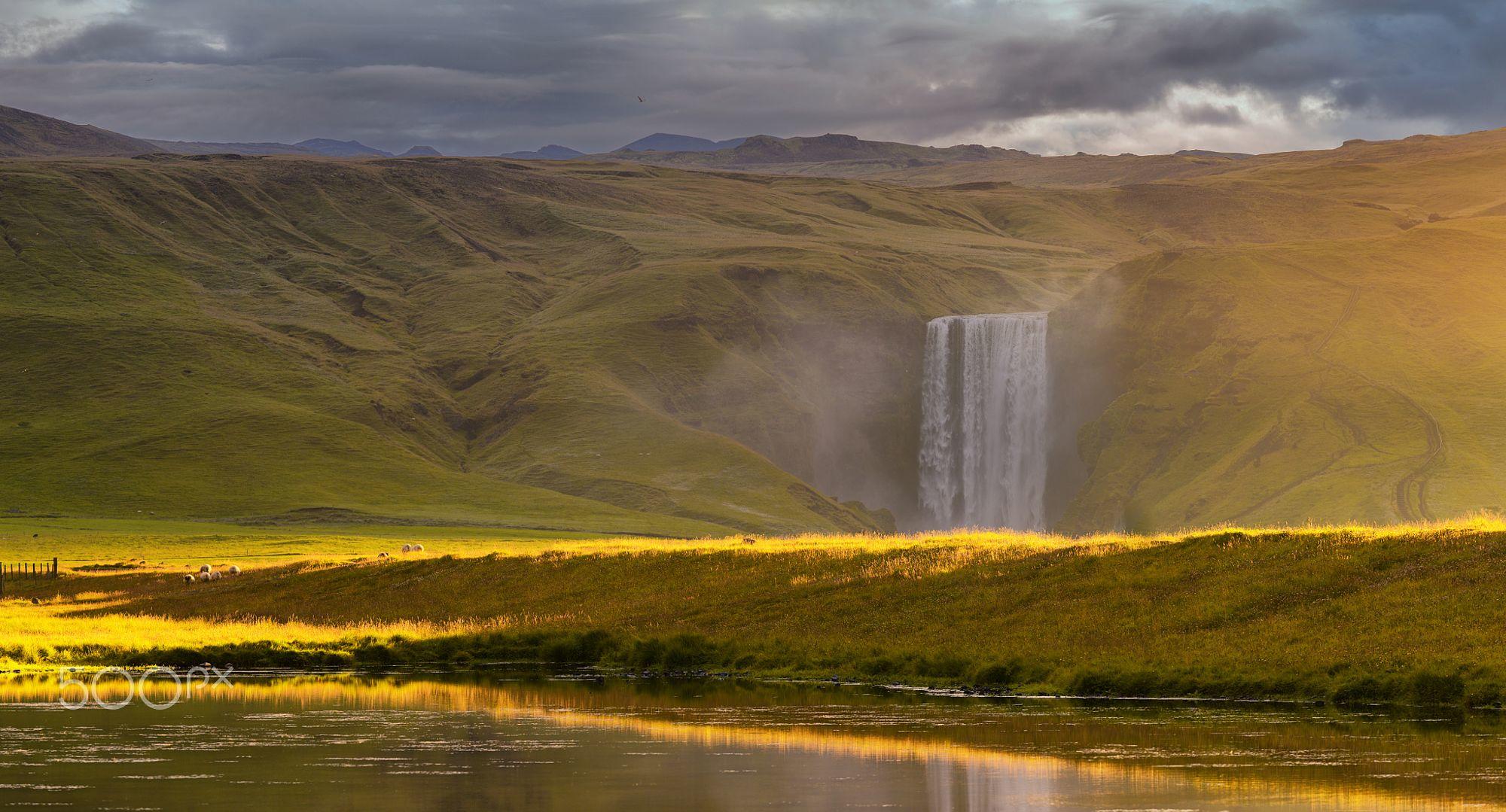 Golden Magic at Skogafoss