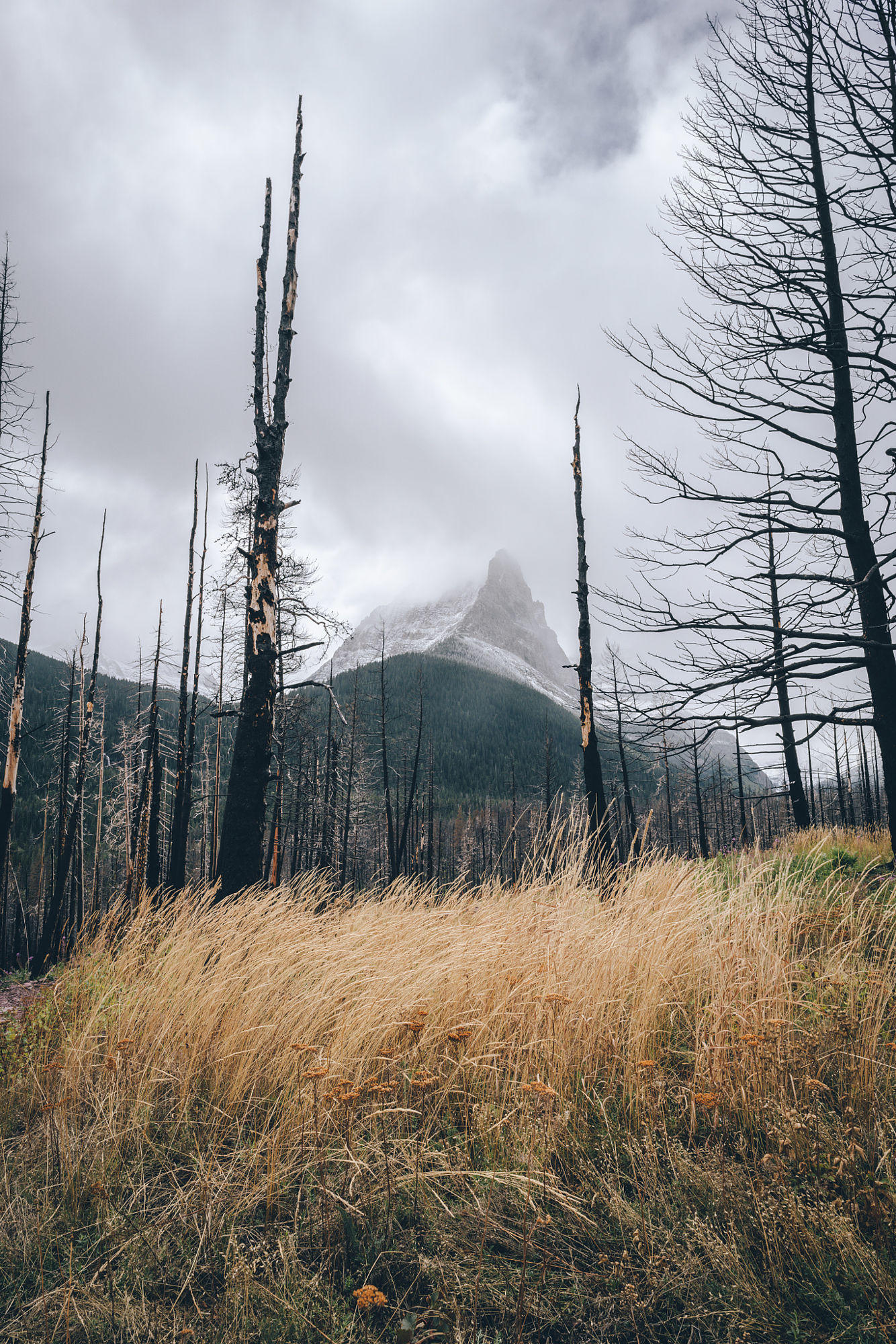 LIttle Chief Mountain