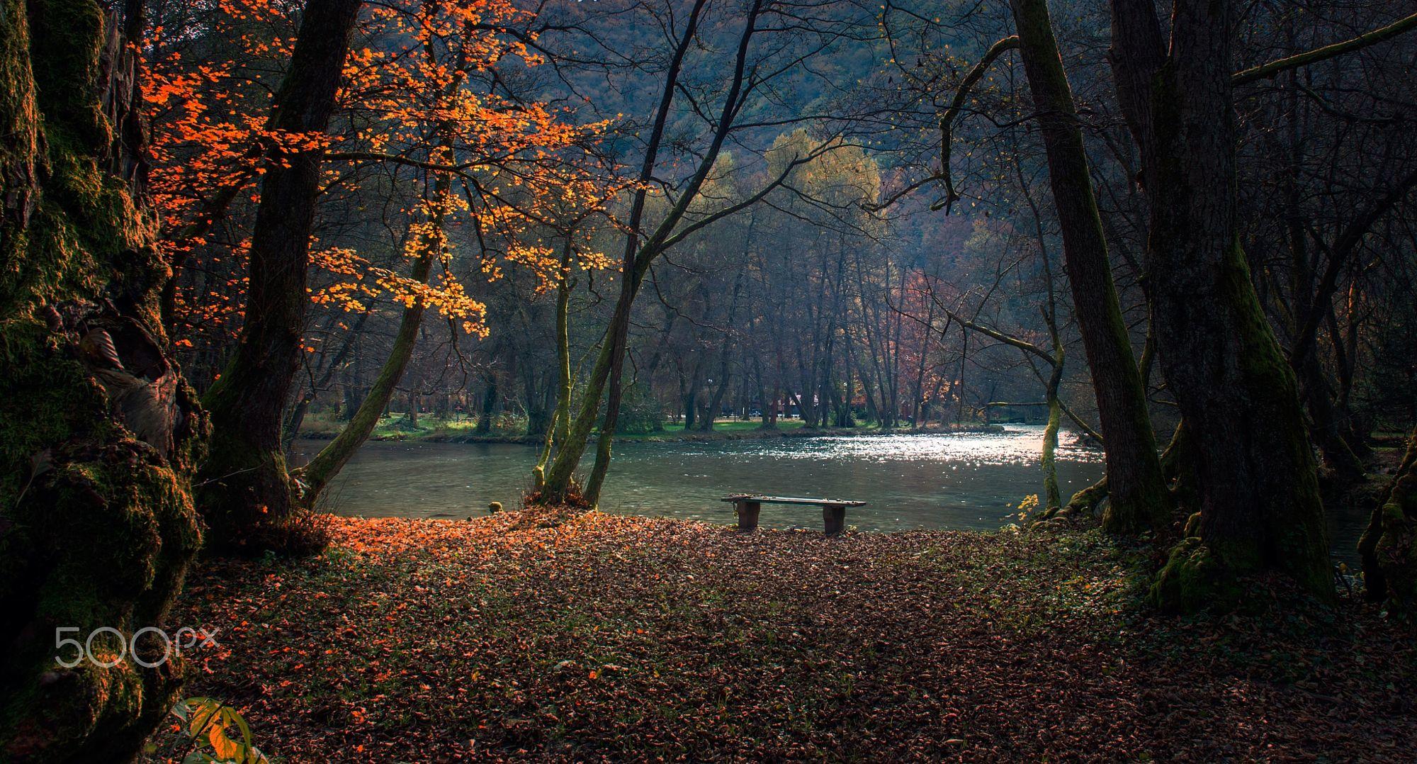 The Bench