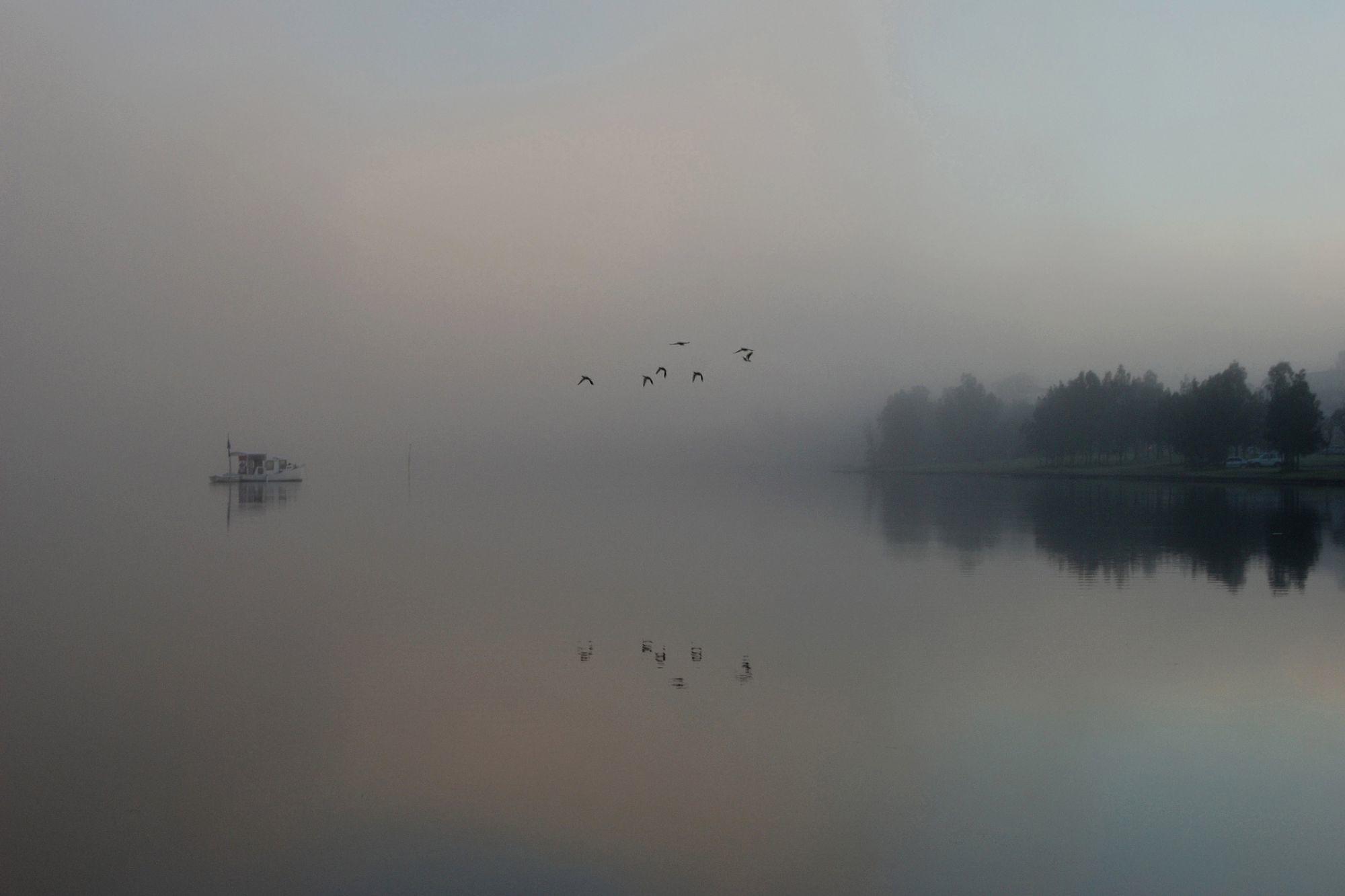 Foggy Foreshore