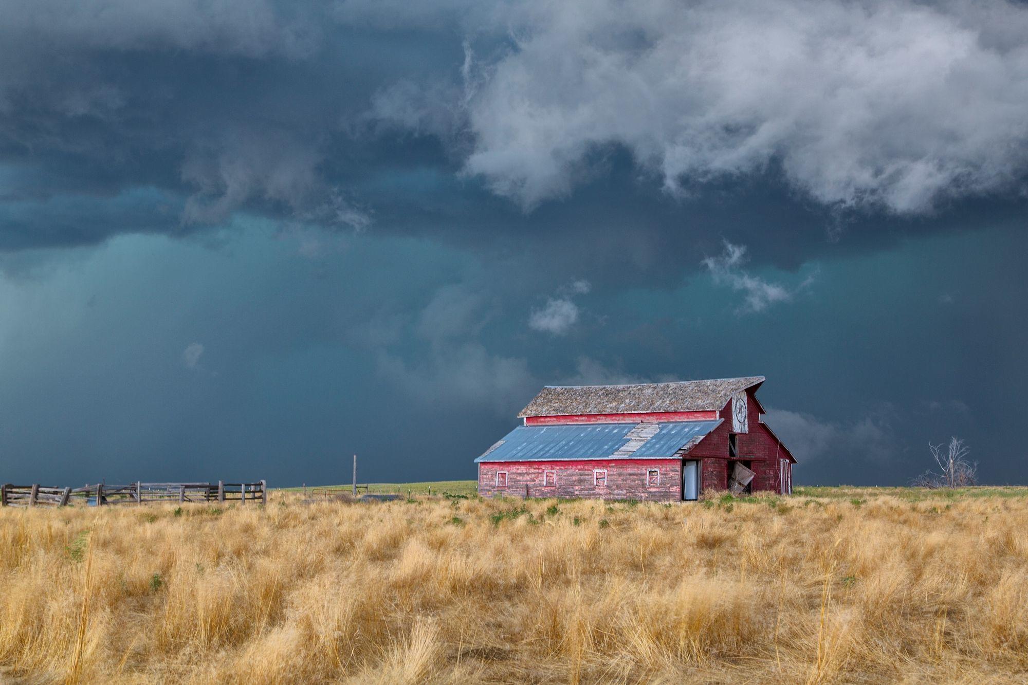 Weathering the Storm